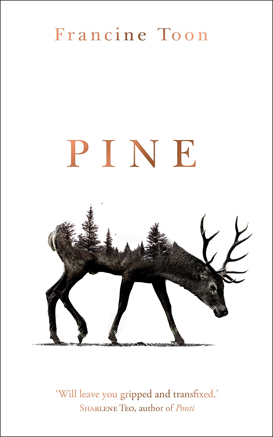 Pine EXPORT