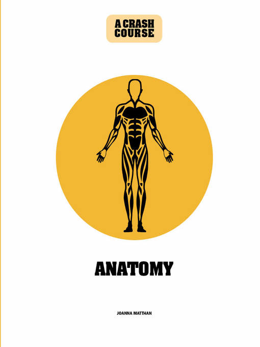 Anatomy