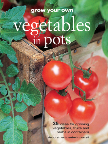 Grow Your Own Vegetables in Pots