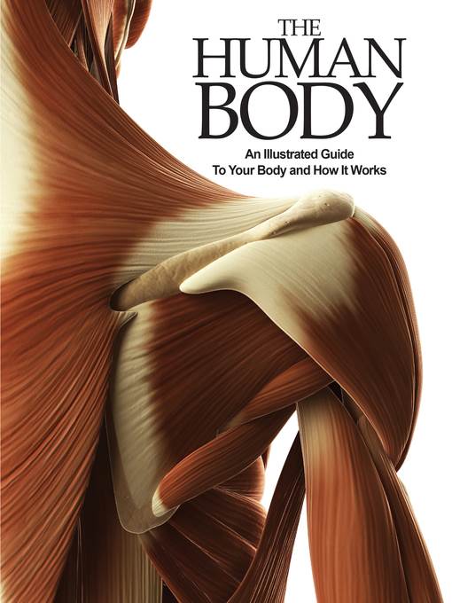 The Human Body