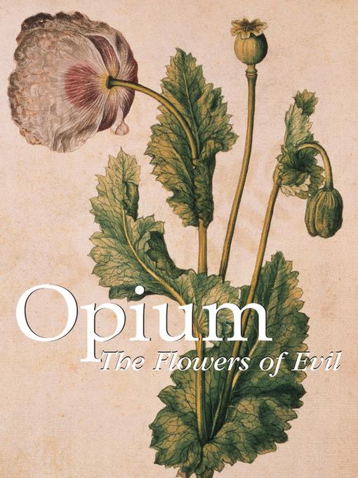 Opium