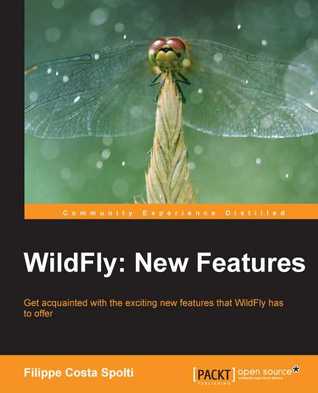 Wildfly