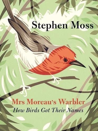 Mrs. Moreau's Warbler