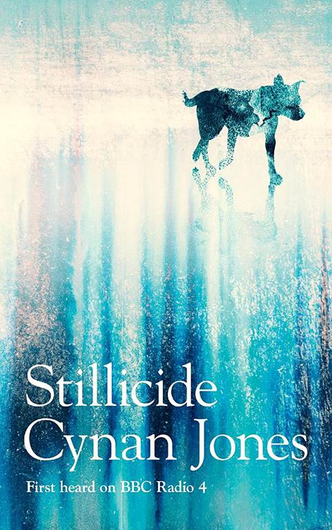 Stillicide