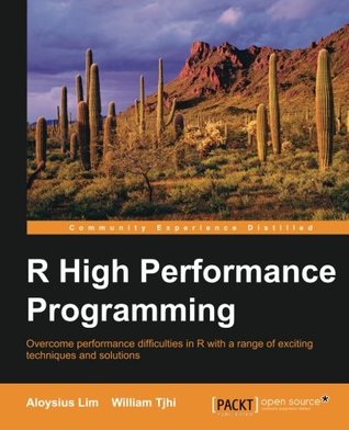 R High Performance Programming