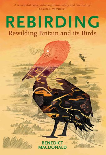 Rebirding : rewilding Britain and its birds