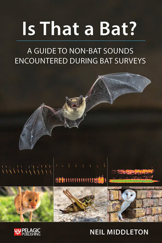 Is that a bat? : a guide to non-bat sounds encountered during bat surveys