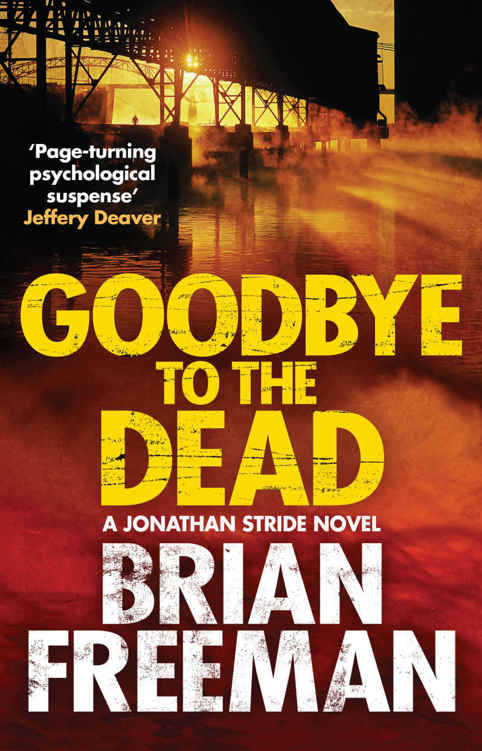 Goodbye to the dead : a Jonathan Stride Novel