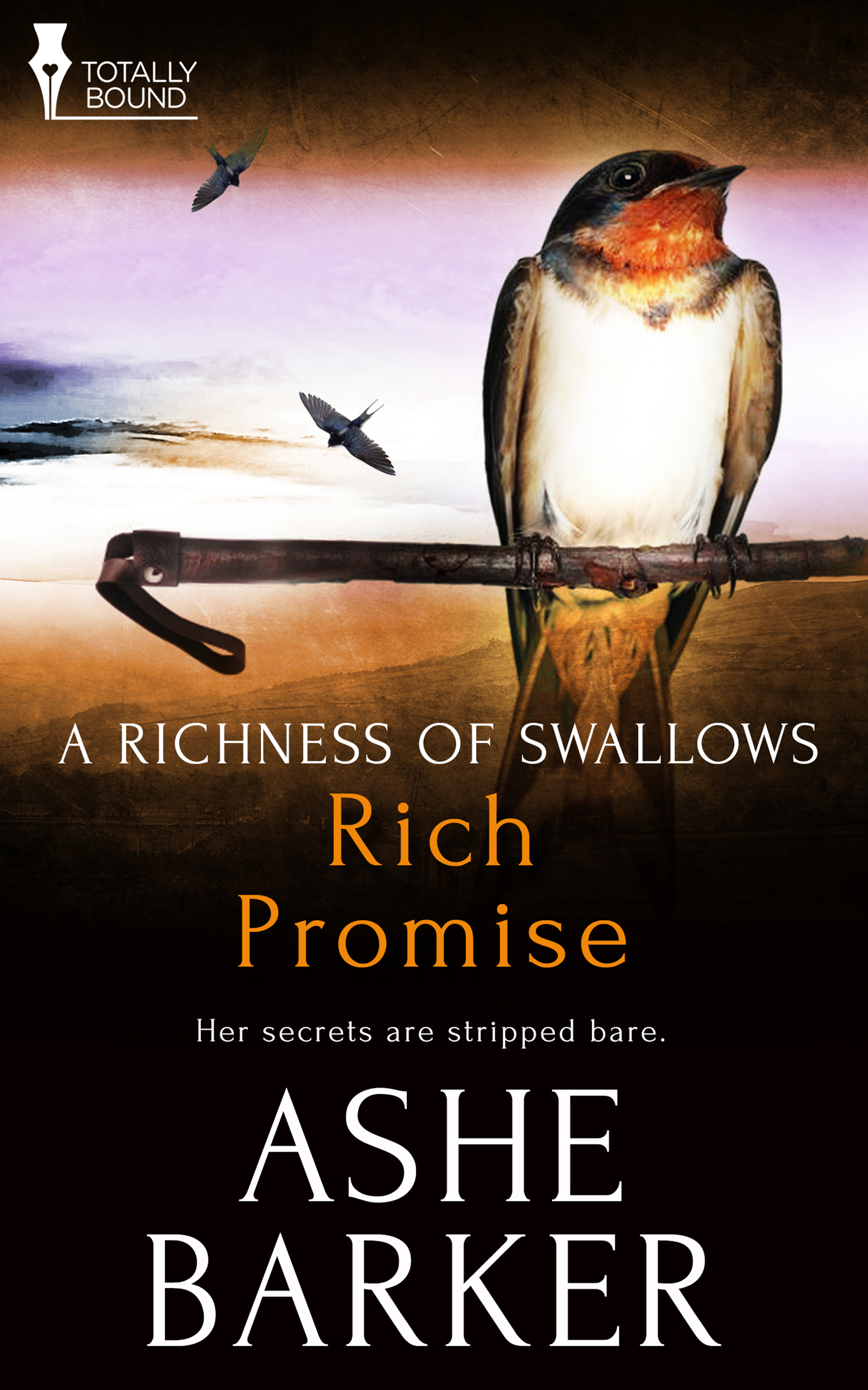 Rich Promise