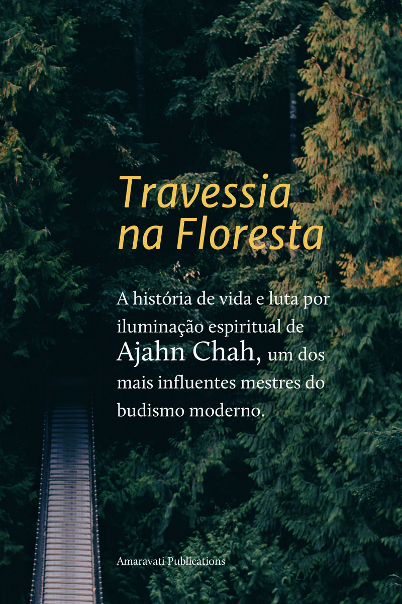 Travessia na Floresta : a história de vida e luta por iluminação espiritual de Ajahn Chah, um dos mais influentes mestres do budismo moderno