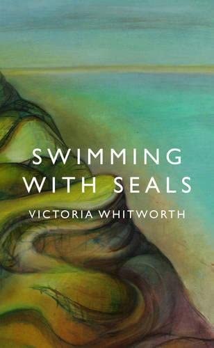 Swimming with Seals