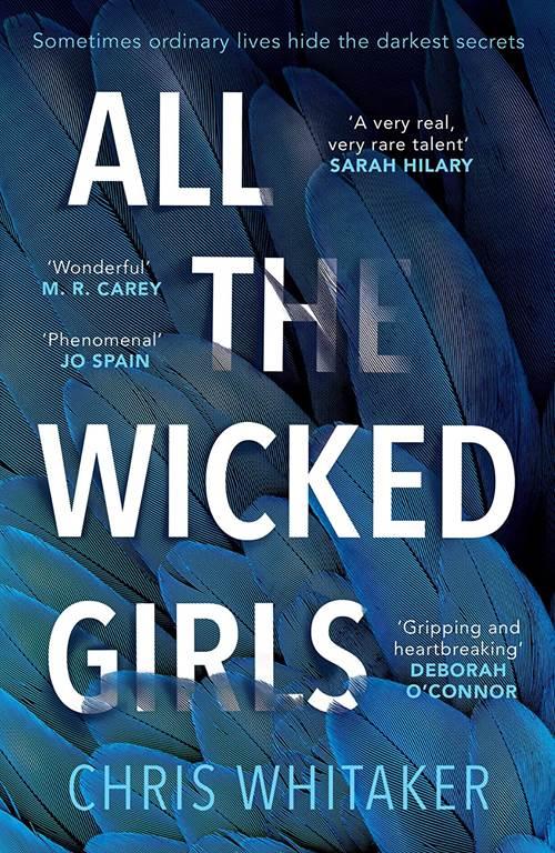 All The Wicked Girls: The addictive thriller with a huge heart, for fans of Lisa Jewell