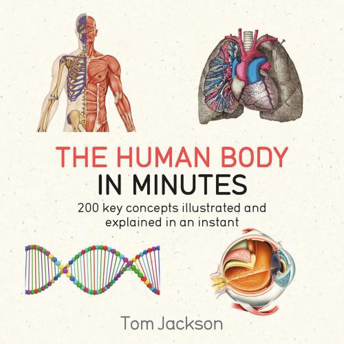 The human body in minutes