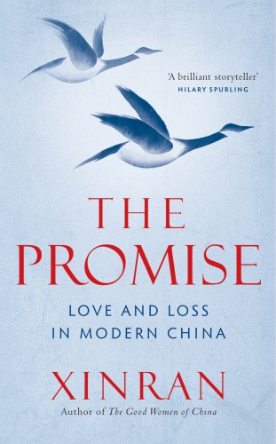 The promise : love and loss in modernChina