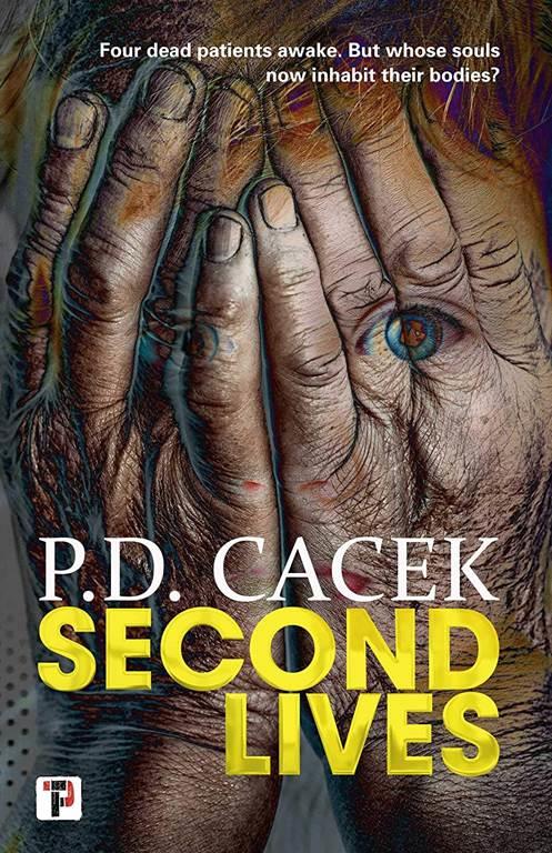 Second Lives (Fiction Without Frontiers)