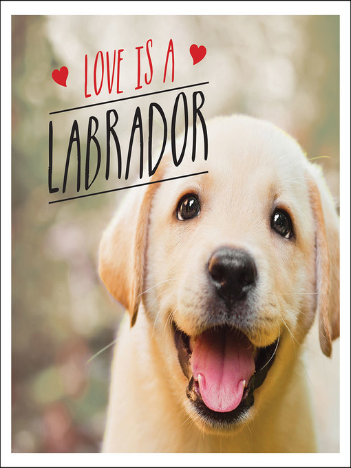 Love is a Labrador