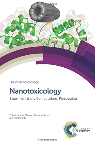 Nanotoxicology : experimental and computational perspectives