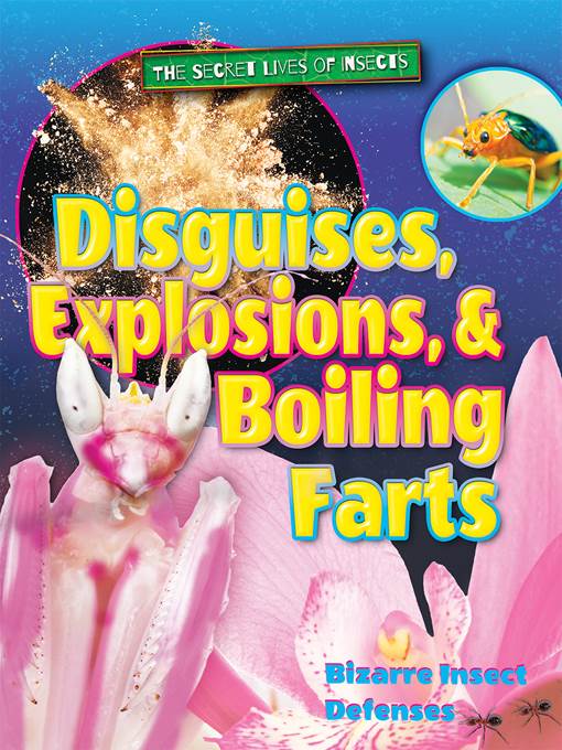 Disguises, Explosions, and Boiling Farts