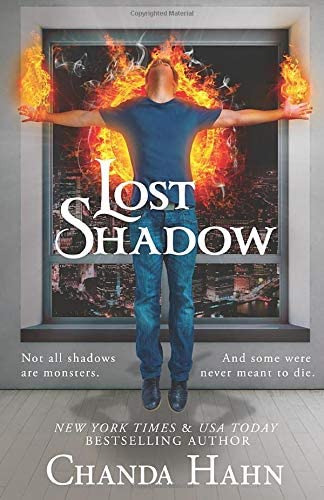Lost Shadow (Neverwood Chronicles)