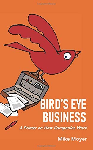 Bird's Eye Business: A Primer on How Companies Work (Mike Moyer's Virtual Dojo)