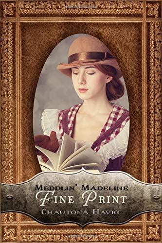 Fine Print (Meddlin' Madeline Mysteries)