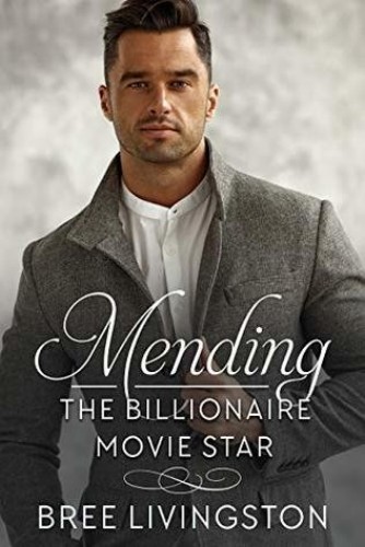 Mending the Billionaire Movie Star