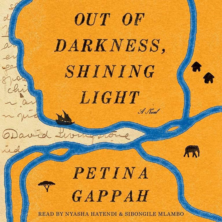 Out of Darkness, Shining Light: A Novel