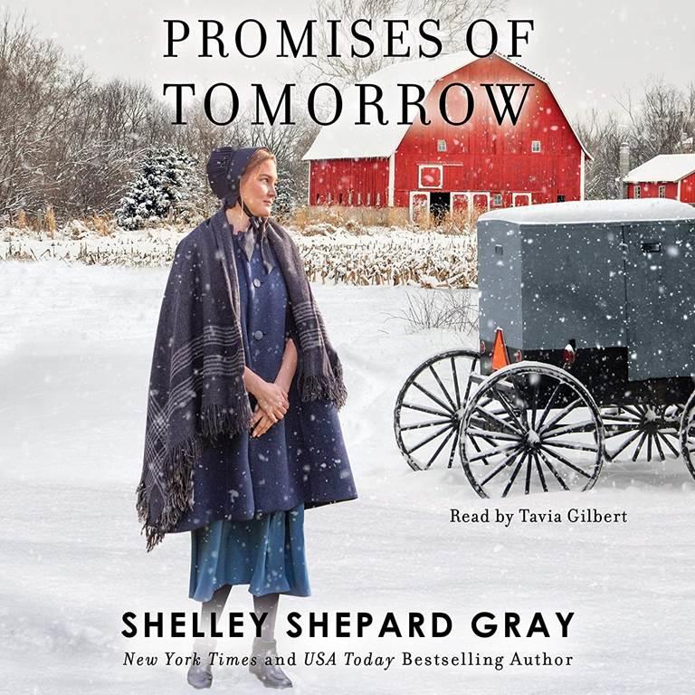 Promises of Tomorrow (The Walnut Creek Series)