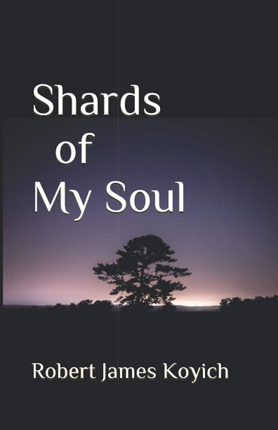 Shards of My Soul: The Fountains of Fortitude