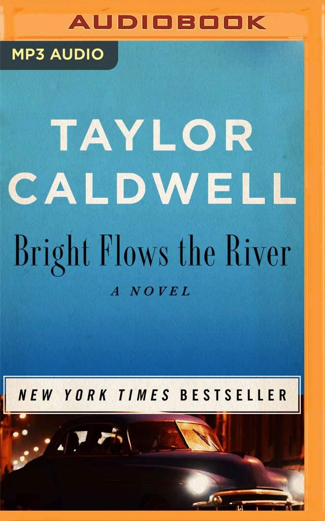 Bright Flows the River: A Novel