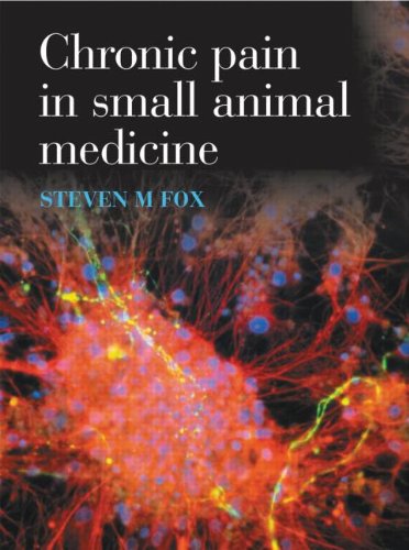 Chronic Pain in Small Animal Medicine