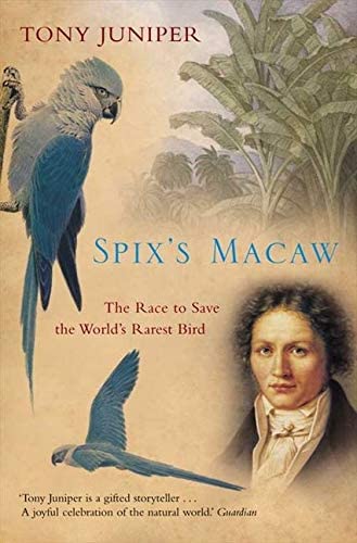 Spix&rsquo;s Macaw: The Race to Save the World&rsquo;s Rarest Bird