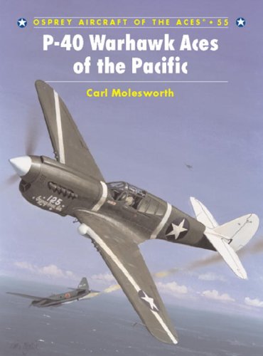 P-40 Warhawk Aces Of The Pacific