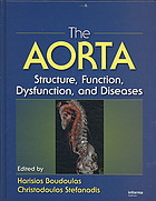 The Aorta