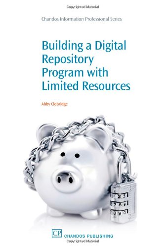 Building a digital repository program with limited resources