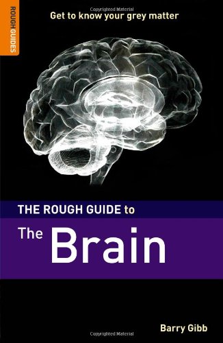 The Rough Guide to The Brain