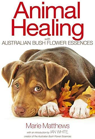 Animal Healing with Australian Bush Flower Essences