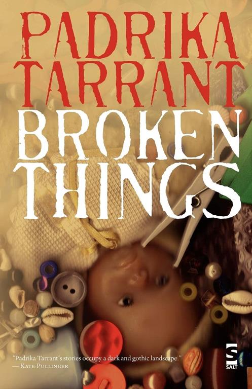 Broken Things (Salt Modern Fiction)