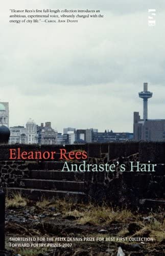 Andraste's Hair (Salt Modern Poets)