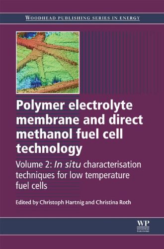 Polymer electrolyte membrane and direct methanol fuel cell technology