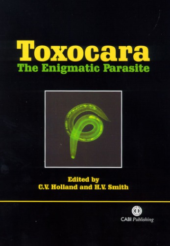 Toxocara