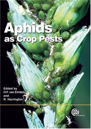 Aphids as crop pests