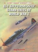 Il-2 Shturmovik Guards Units of World War 2