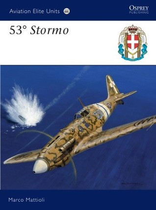 53° Stormo