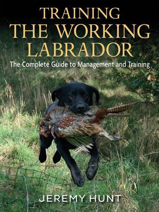 Training the Working Labrador