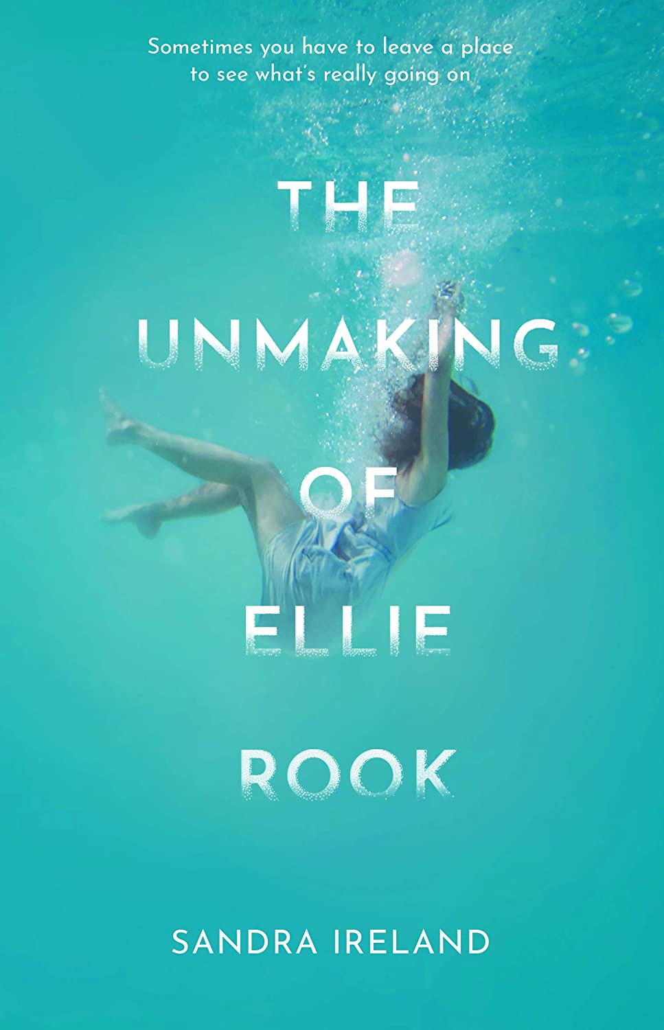 The Unmaking of Ellie Rook
