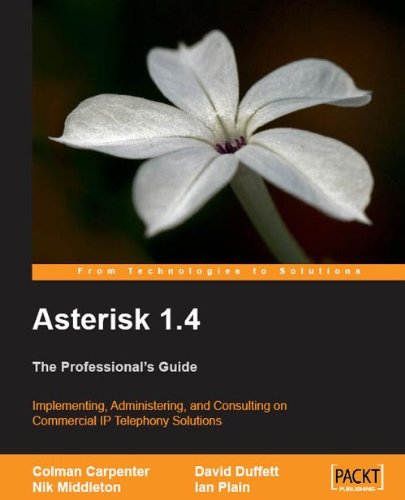 Asterisk 1.4 The Professionals Guide