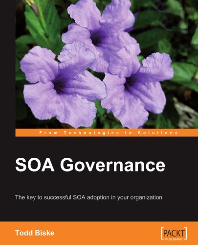 Soa Governance