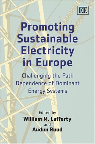 Promoting Sustainable Electricity In Europe