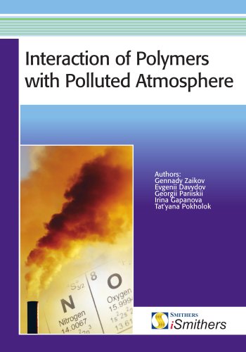 Interaction of Polymers with Polluted Atmosphere